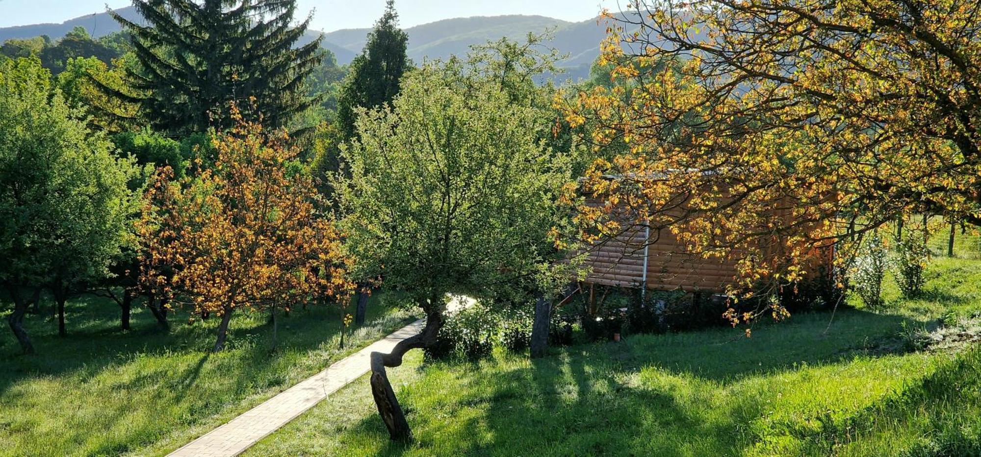 Reteskert Vendeghaz Es Apartman Belapatfalva Εξωτερικό φωτογραφία